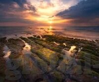 今天竞彩足球比分-今天竞彩足球比分，绿茵场上的数字狂欢与理性博弈