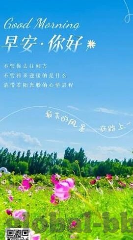 世界杯两平一胜晋级-世界杯两平一胜晋级，足球竞技的奇迹与策略